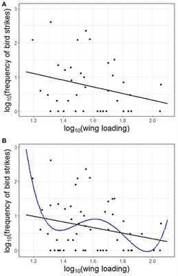 Species With Greater Aerial Maneuverability Have Higher Frequency of Collisions With Aircraft: A Comparative Study